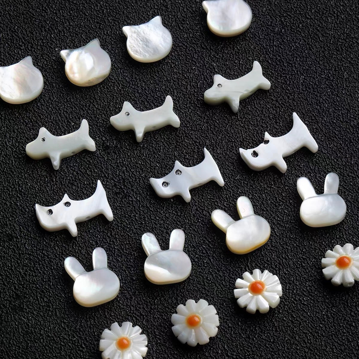 Natural Trochus Shell Beads