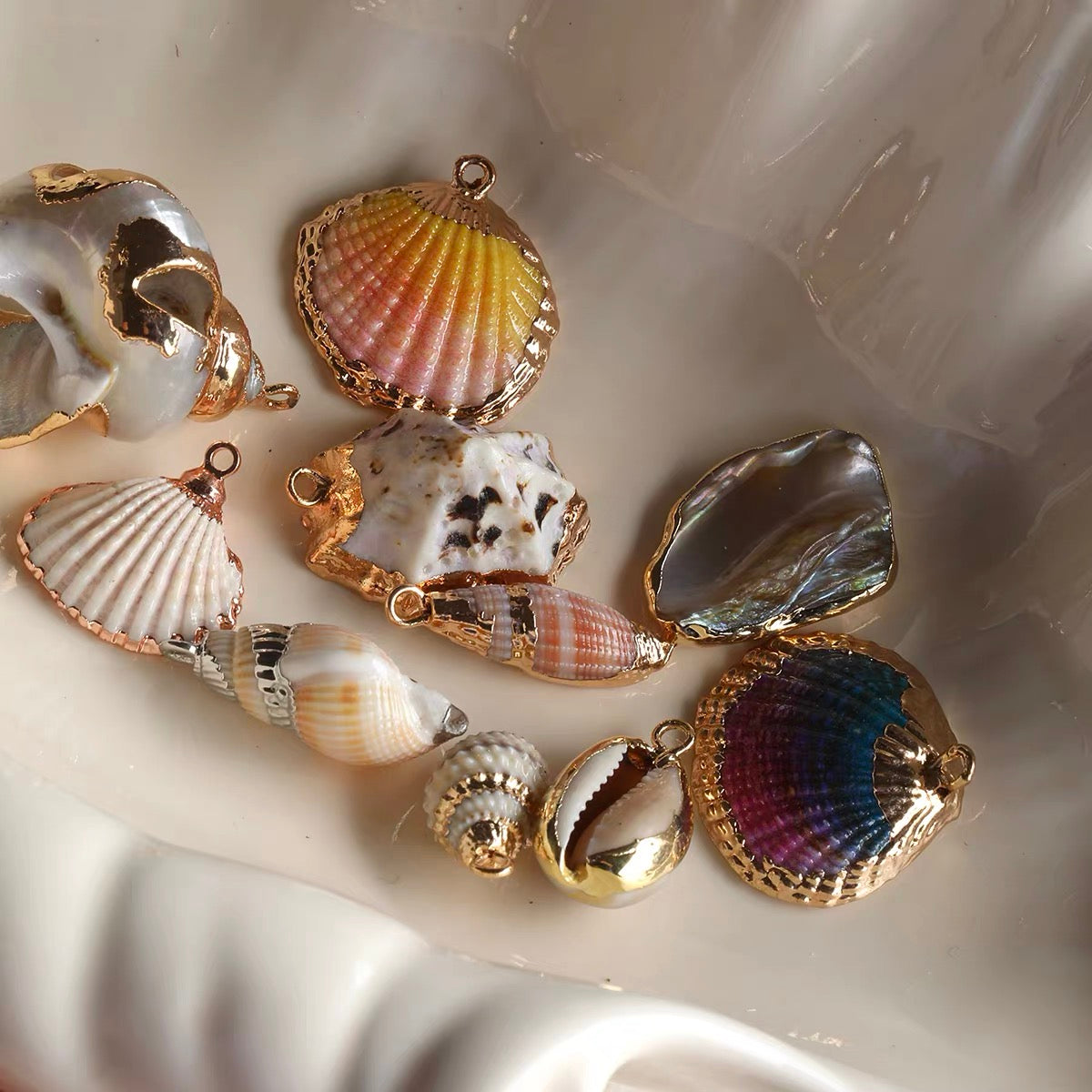 Natural Colored Shell & Conch Pendant Beads